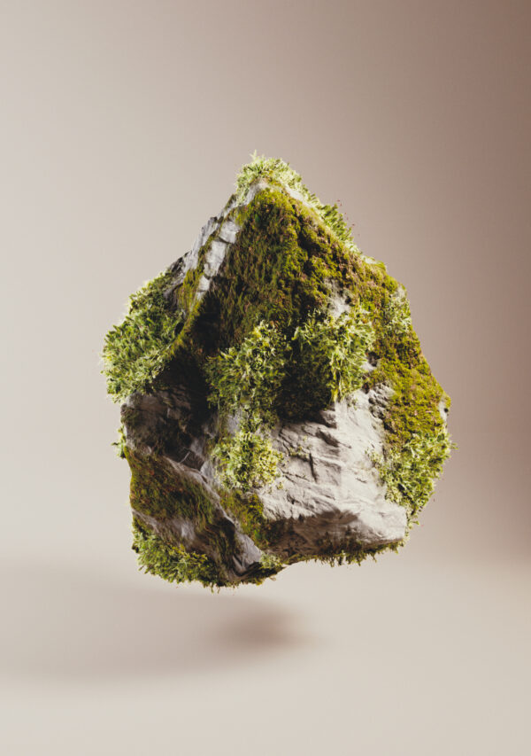 Mossy Rock (Copy)